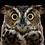 owl727