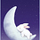 sleepybunny